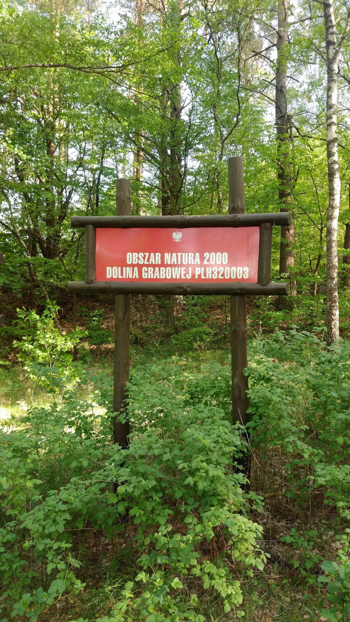 Czerwony Most nad rzeką Grabowa