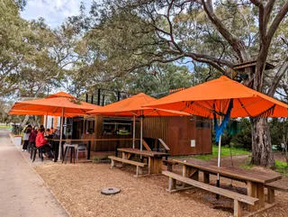 TreeClimb Adelaide