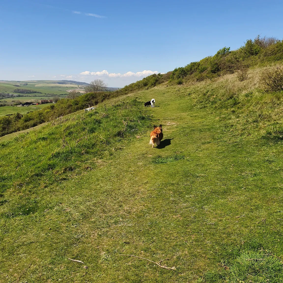 Mill Hill