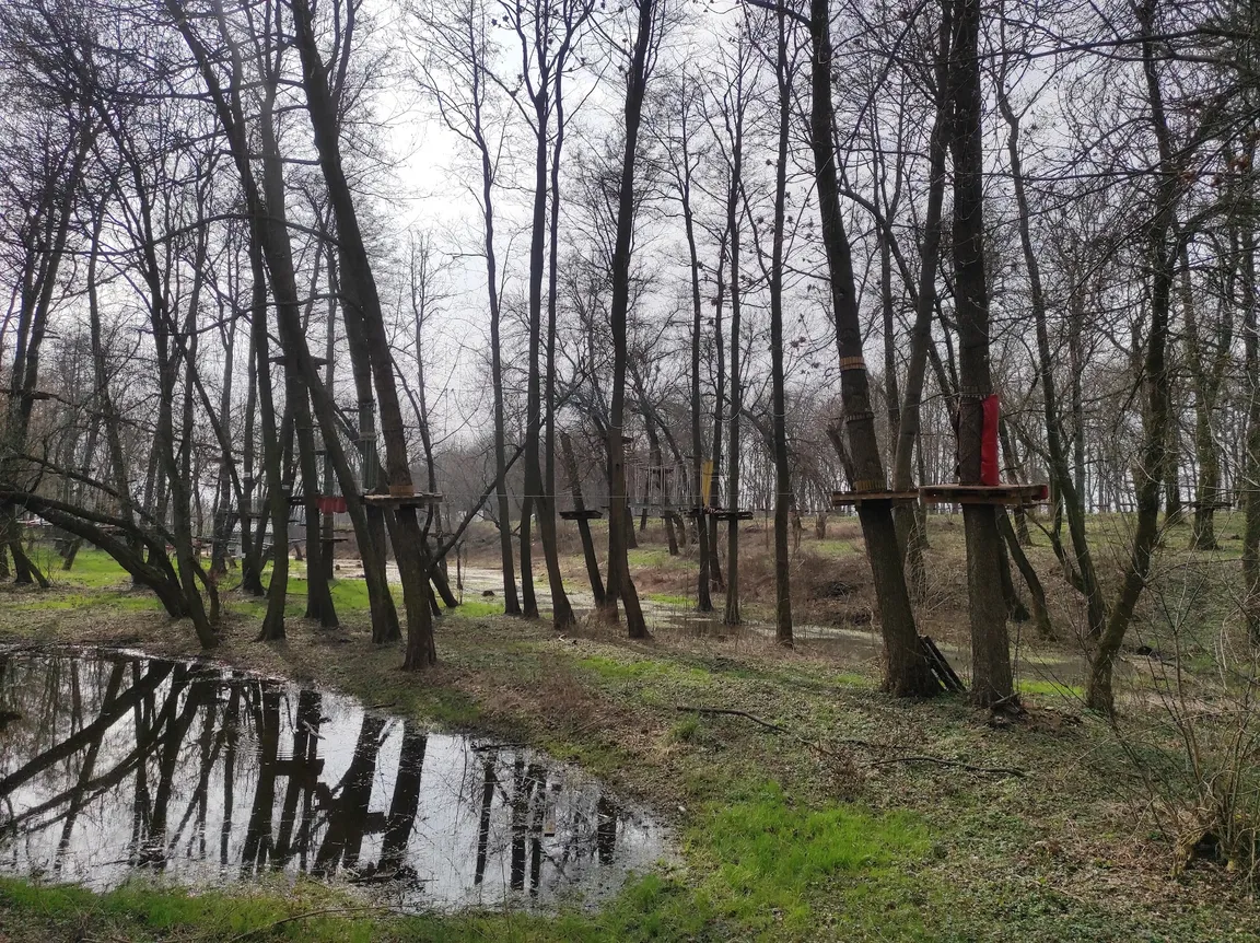 Park Linowy Zamość