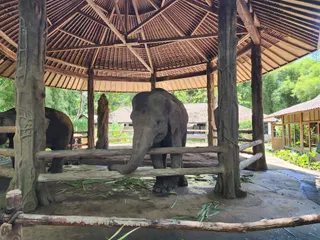 The Amazing Taman Safari Bali