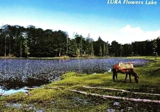 National Park of Lura