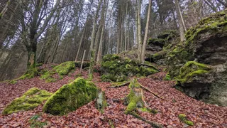 Schöngrundsee