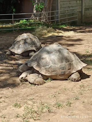 Park zoologiczny w Barcelonie