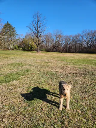 Wanskuck Park