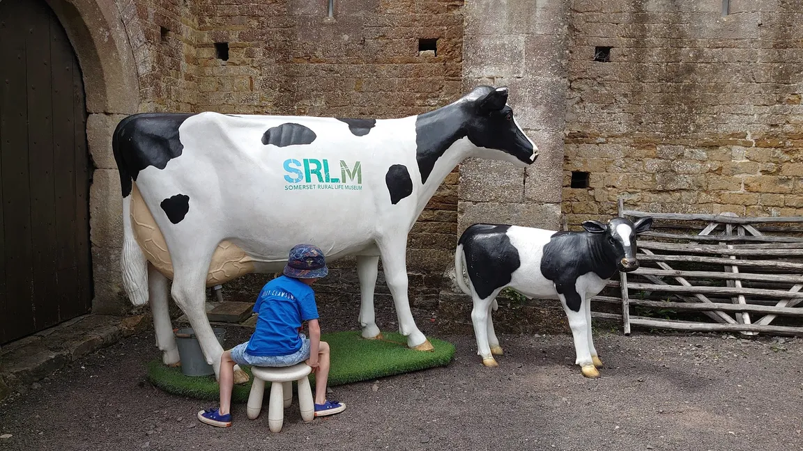 Somerset Rural Life Museum