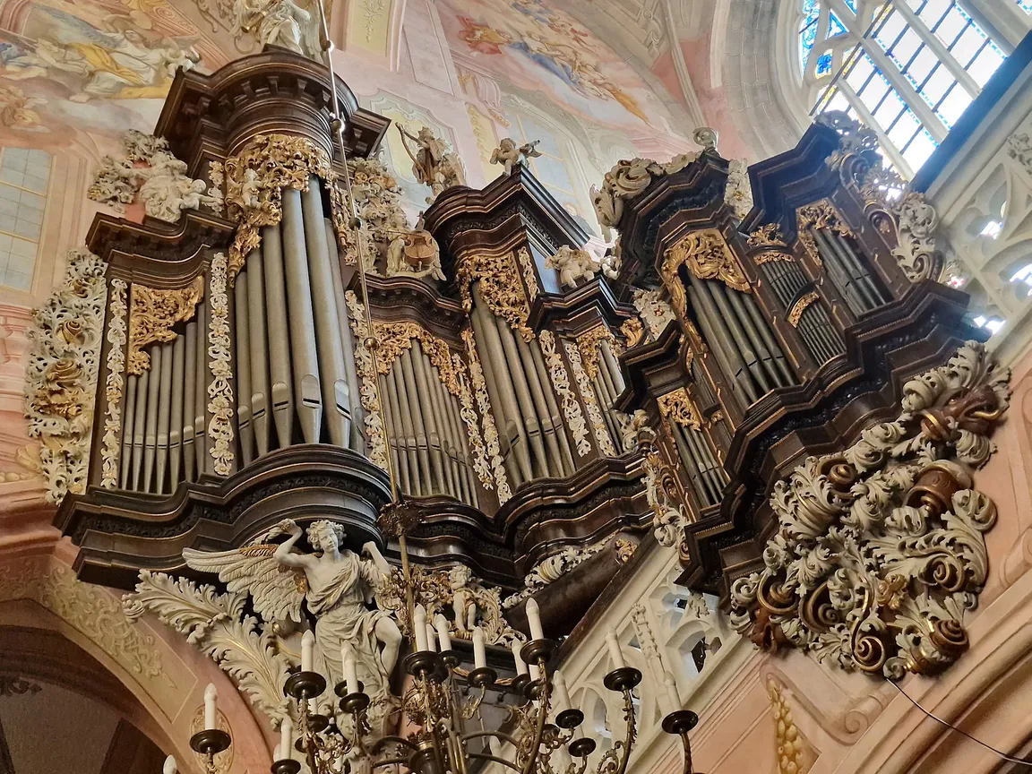 Kościół katedralny św. Stanisława i św. Wacława