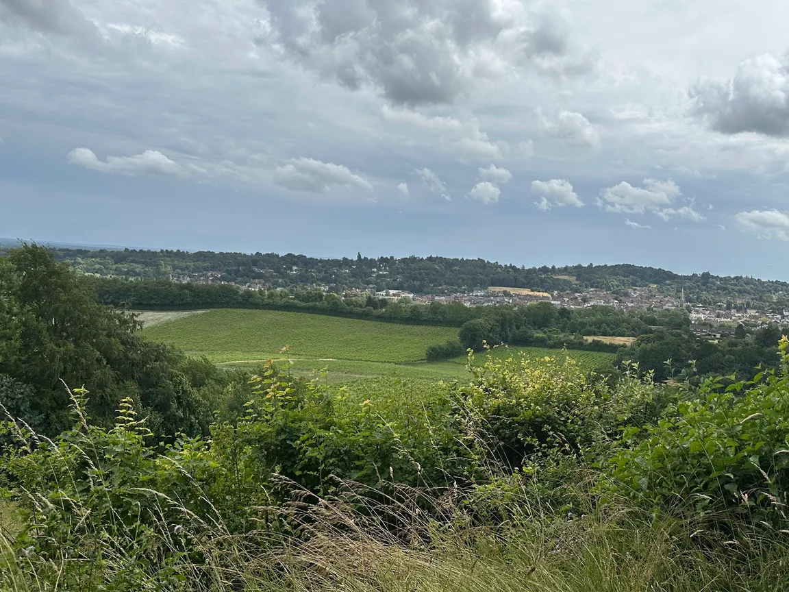 Surrey Hills National Landscape