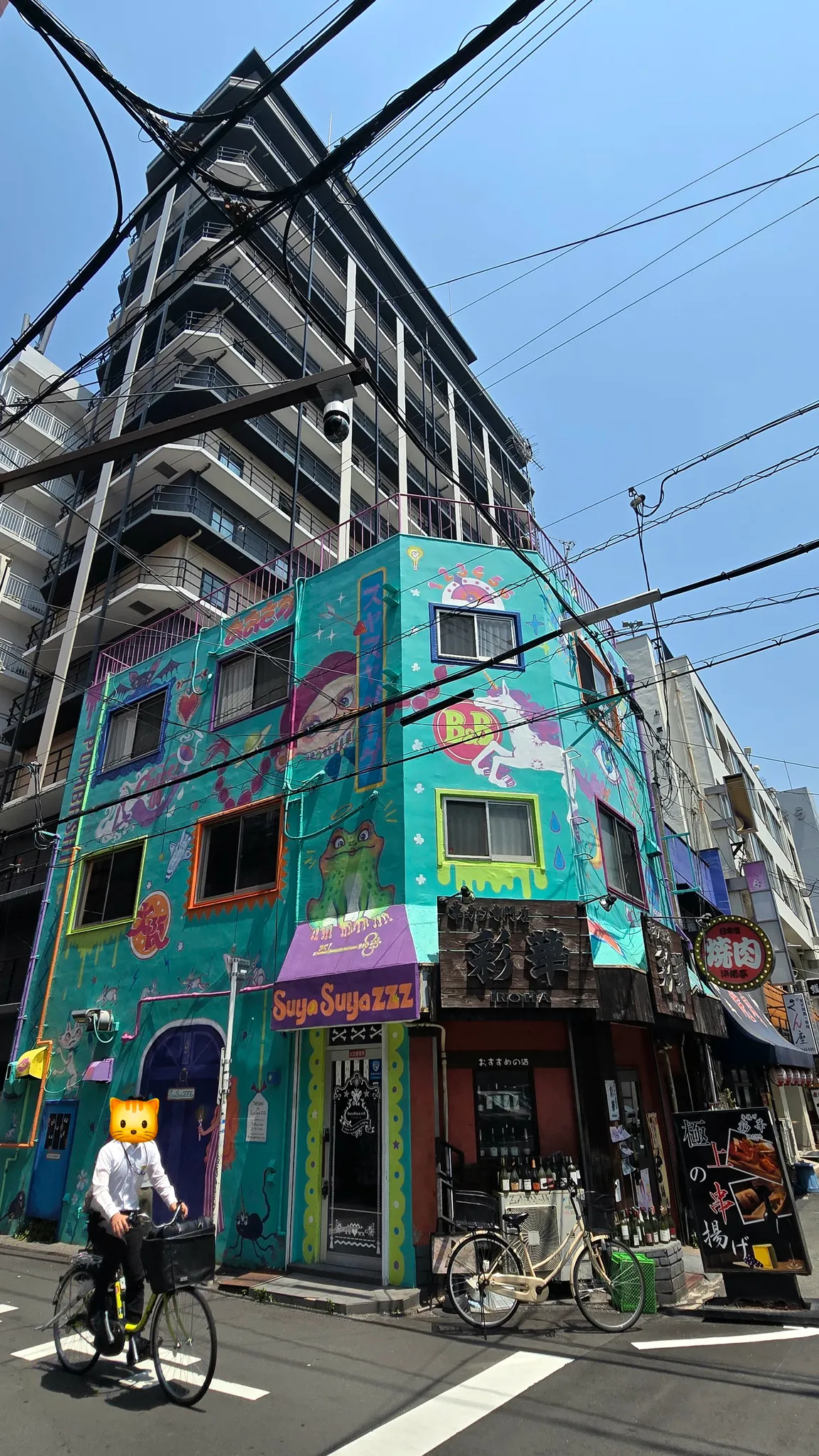 Cat Mural