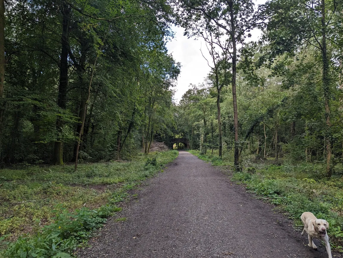 Meon Valley Trail