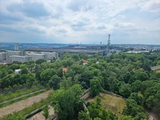 Wieża Petrińska