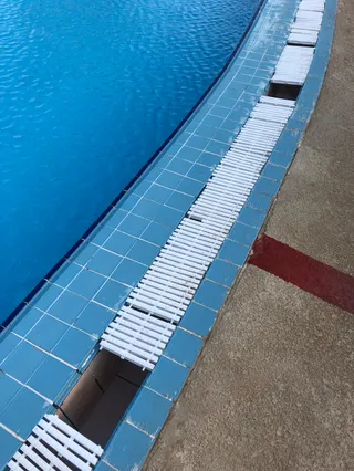 Sentido