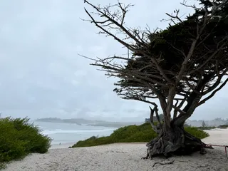 Carmel Sunset Beach Viewpoint