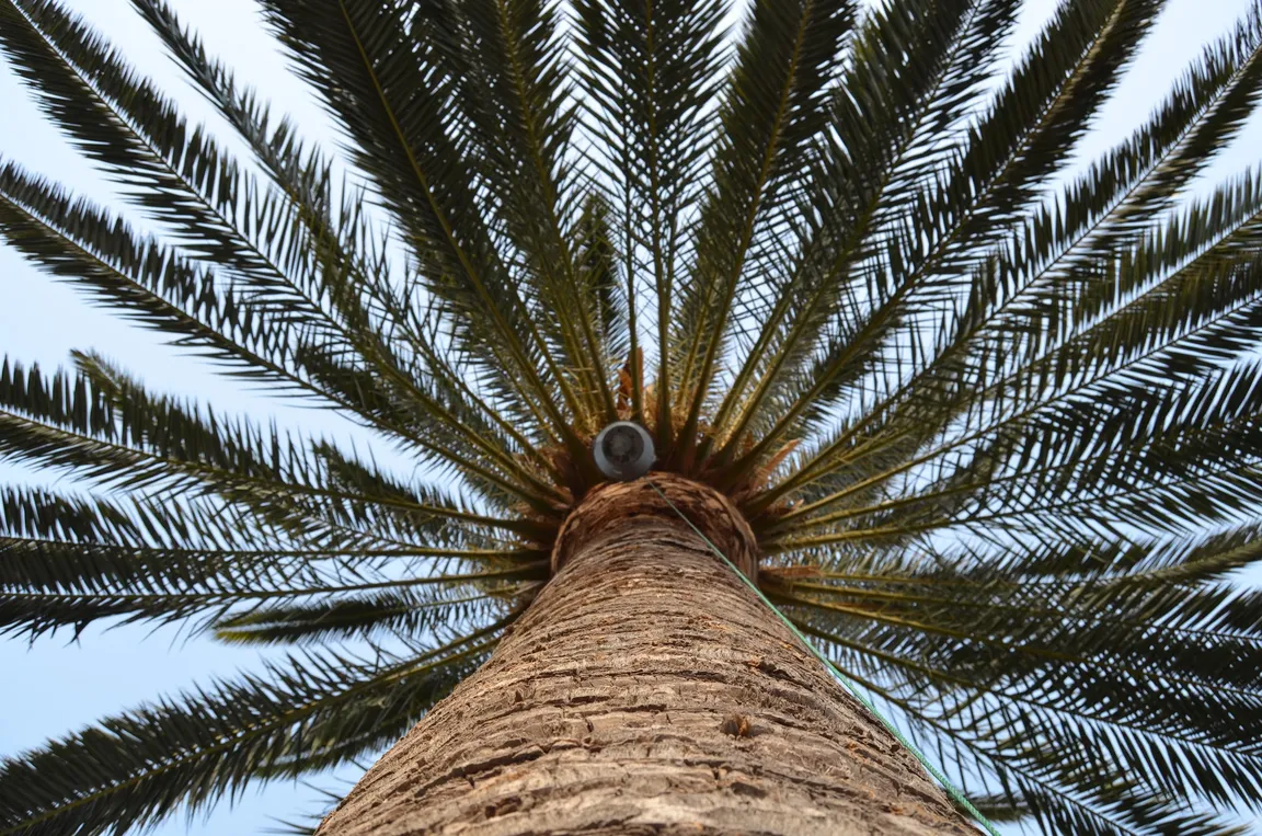 Museo PEG Los Telares, El Parque Etnográfico de La Gomera
