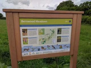 Bernwood Meadows