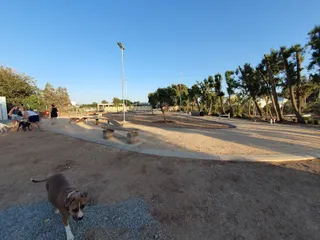 Dog Park