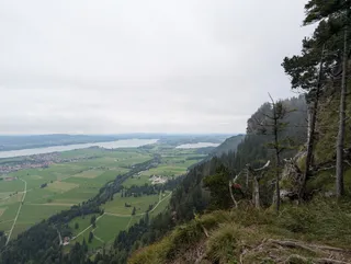 Pöllat Quelle