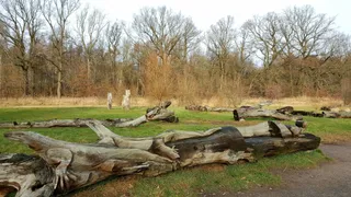 Teufelsberg - Spreeaue Dissen - Touren durch den Vorspreewald