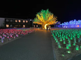 Lagunasia