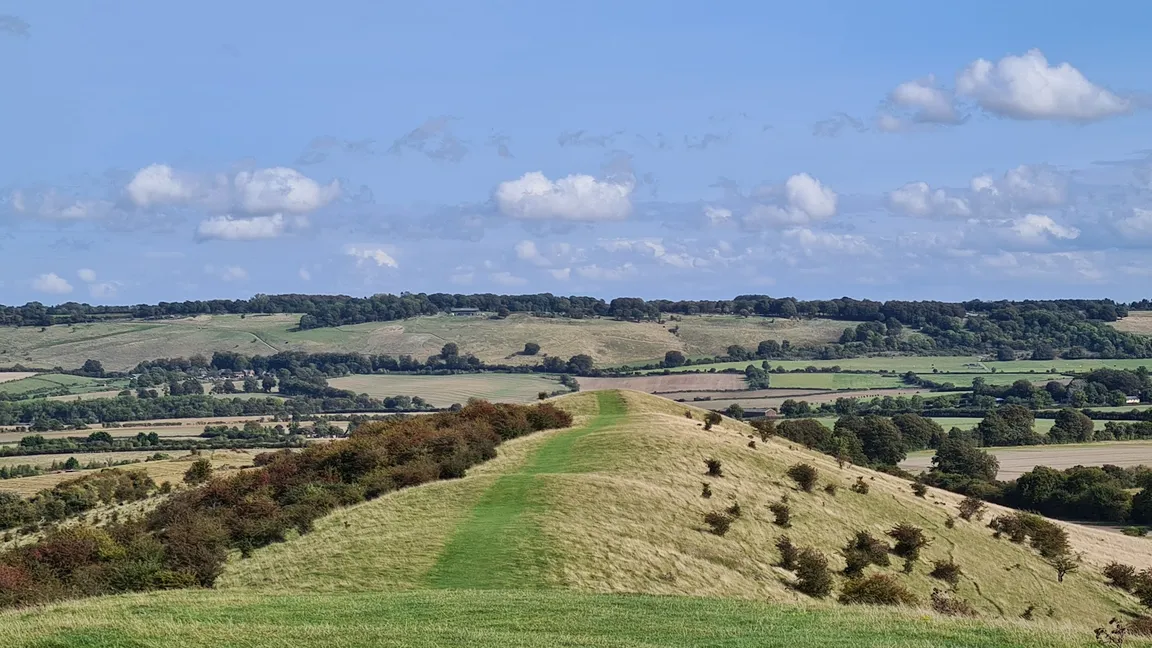 Chilterns National Landscape