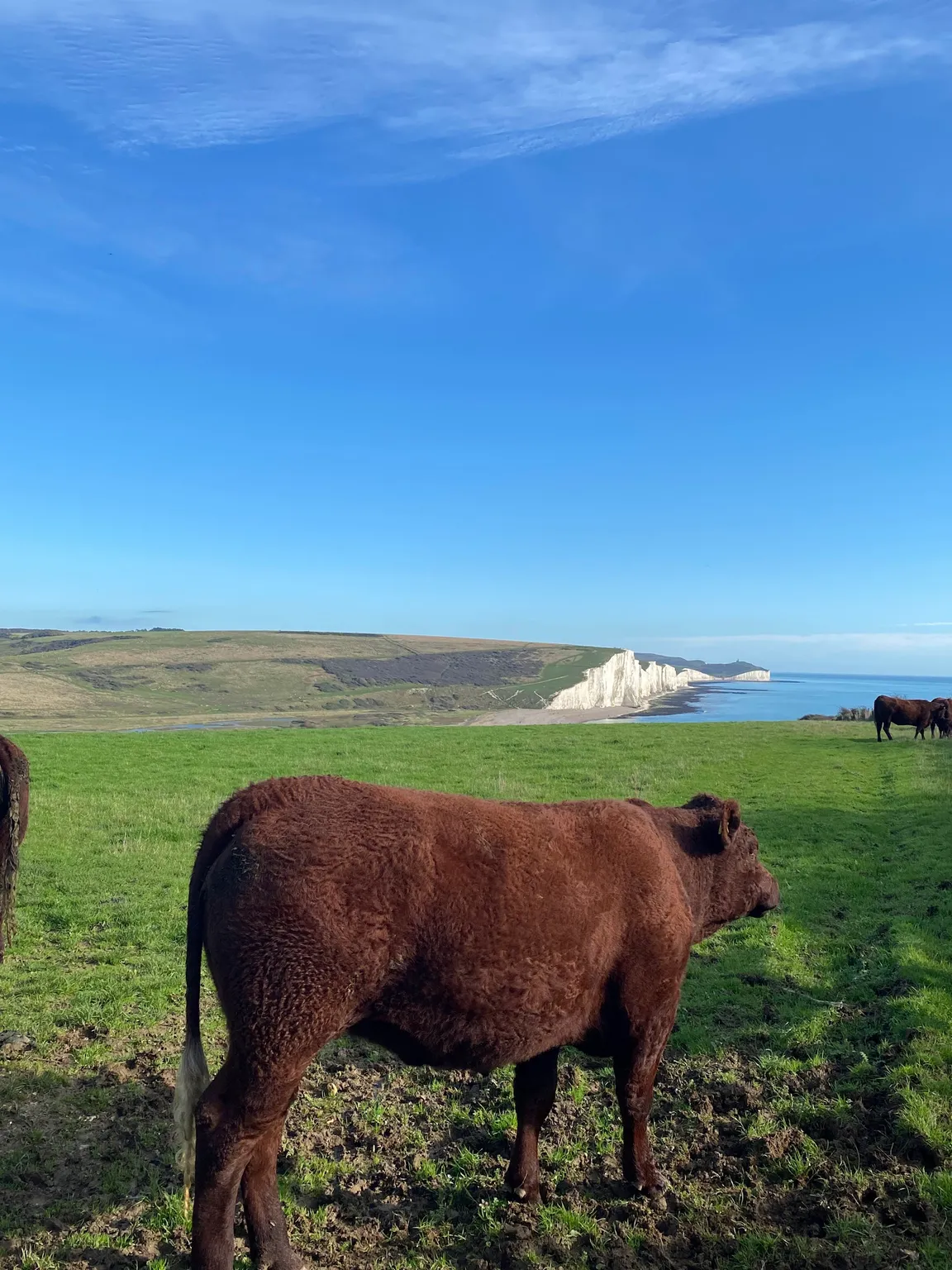 Seven Sisters Cliffs