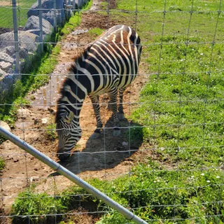 Zoo Falardeau