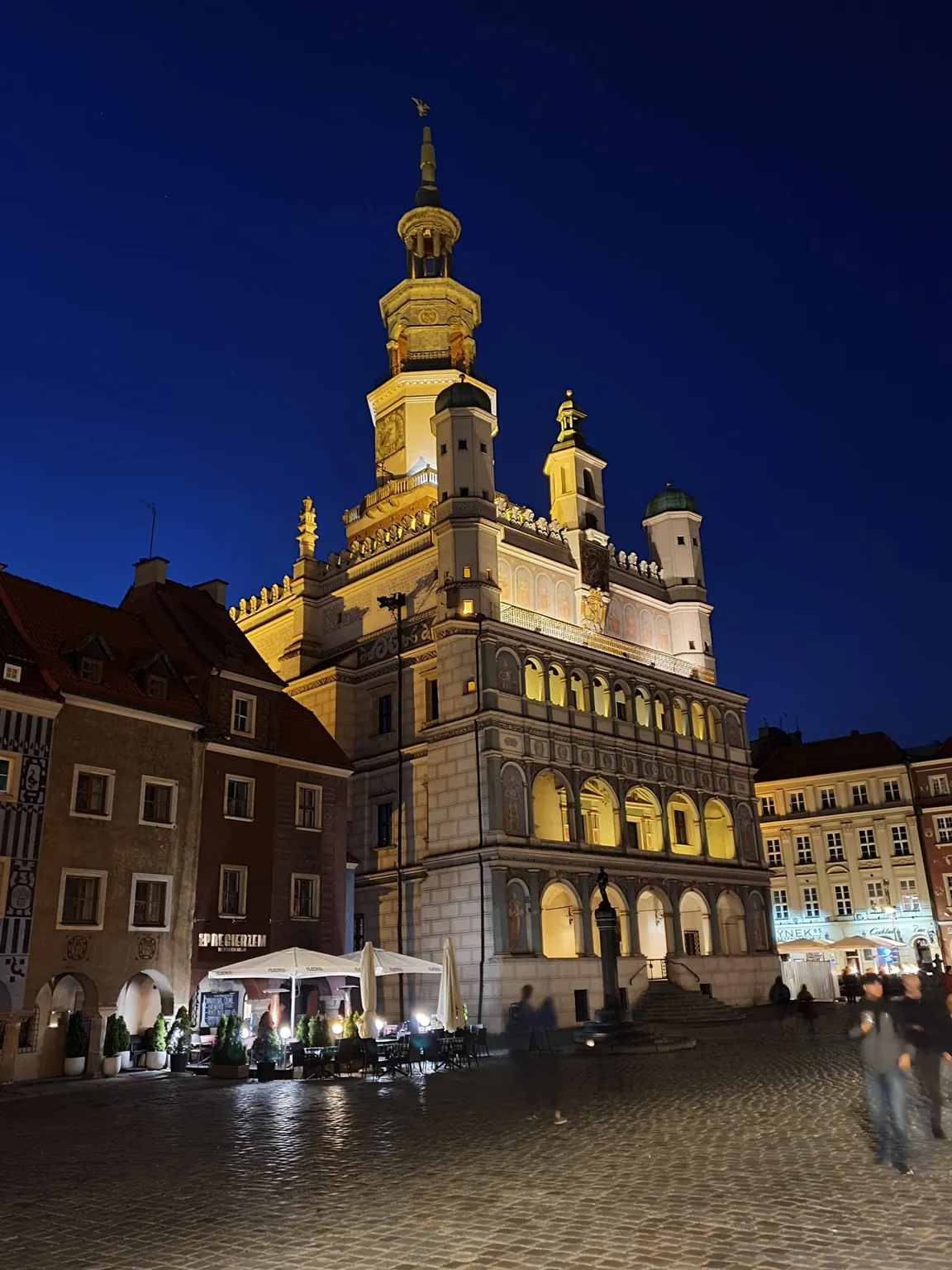Koziołki Poznańskie
