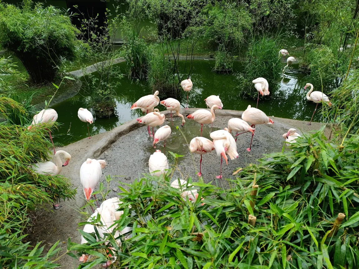 Salzburg Zoo Hellbrunn