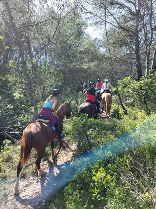 Chev'Alpilles (Promenade à Cheval à Saint-Rémy de Provence)