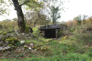 Dolmen du Rat