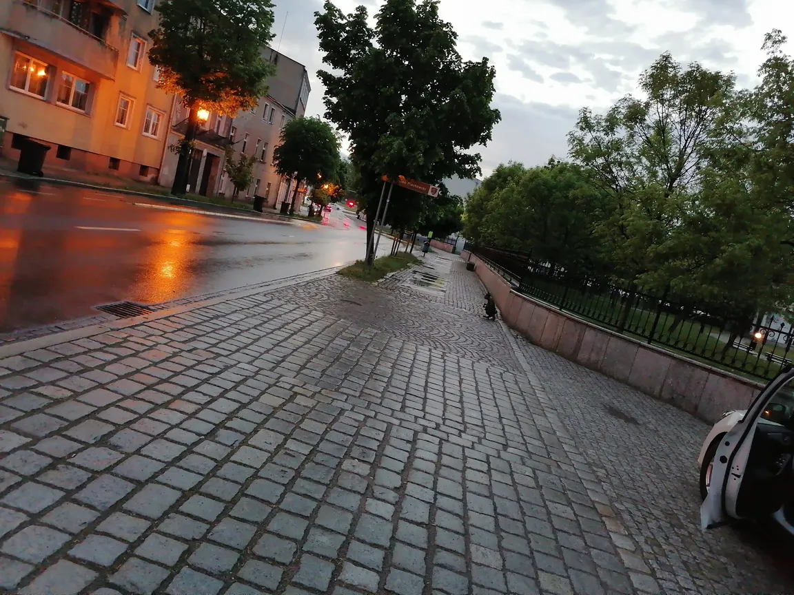 Królik Woj Piastowski