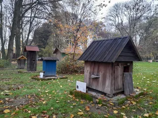 Skansen pszczelarski