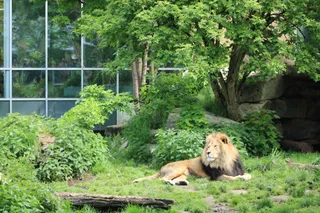 Hellabrunn Zoo