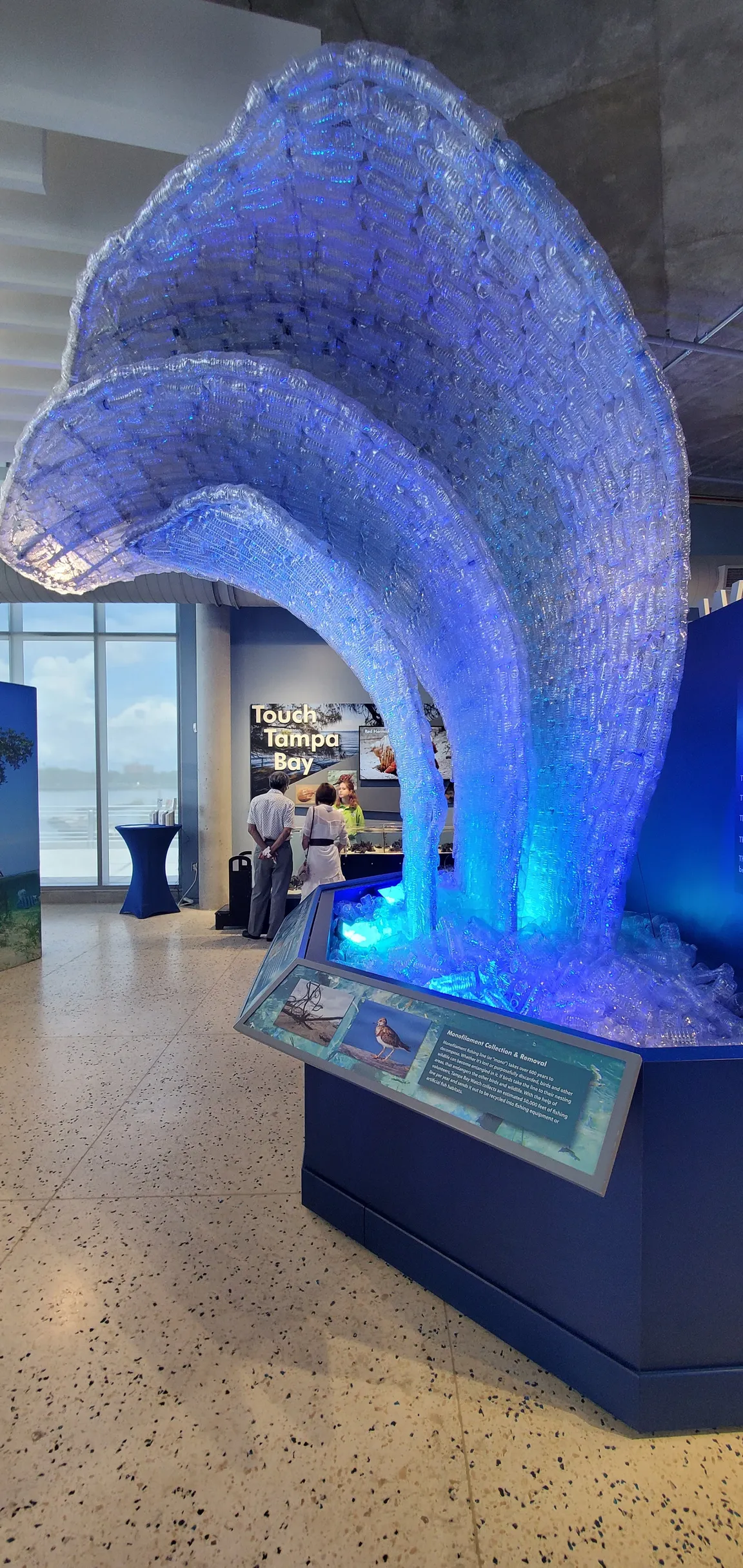 Tampa Bay Watch Discovery Center