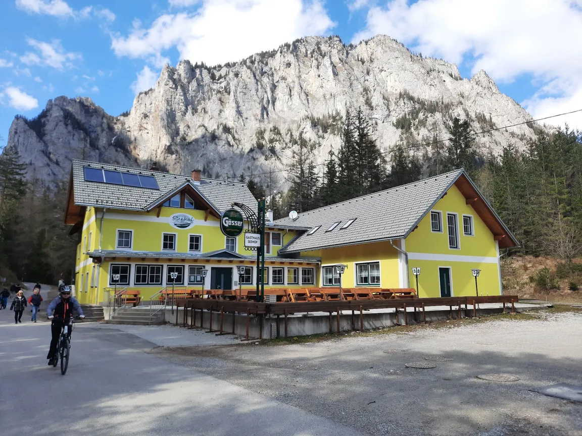 Grüner See