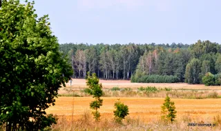 Gospodarstwo Agroturystyczne - Irena Wysocka - Mielnik nad Bugiem