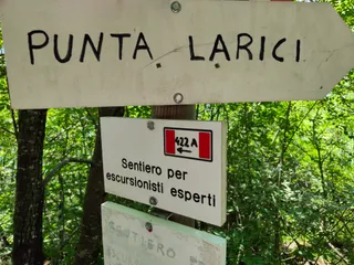 Punta Larici