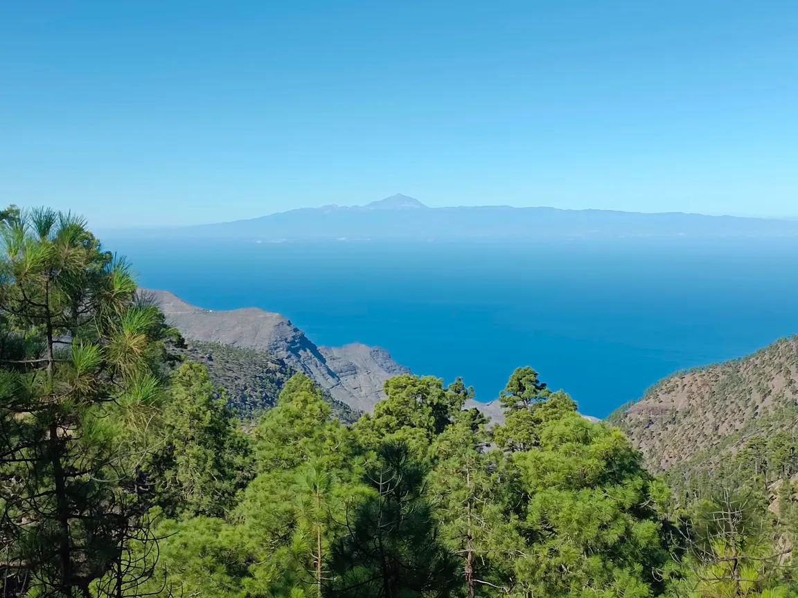 Tamadaba Natural Park