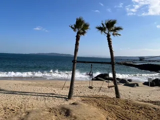 Palm Tree Swing