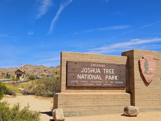 Park Narodowy Joshua Tree