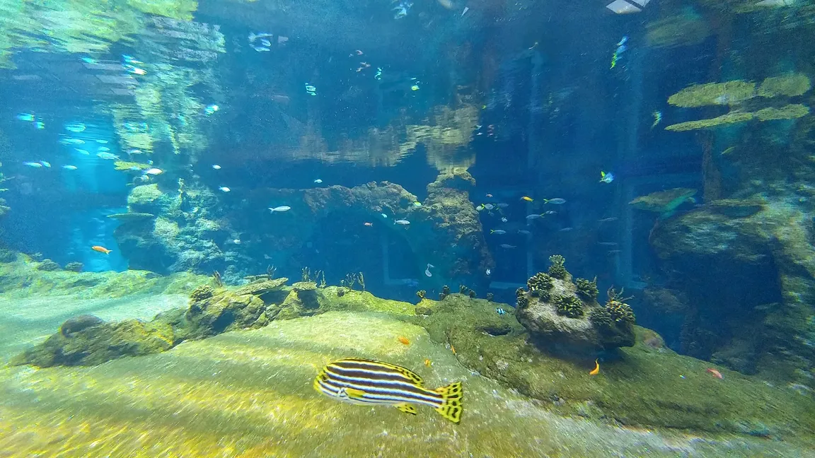 ZOO Wrocław sp.z o.o.