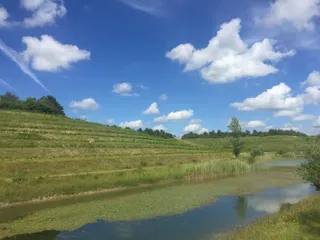 Hedeland Vinlaug