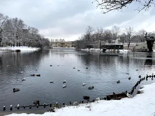 Park Agrykola