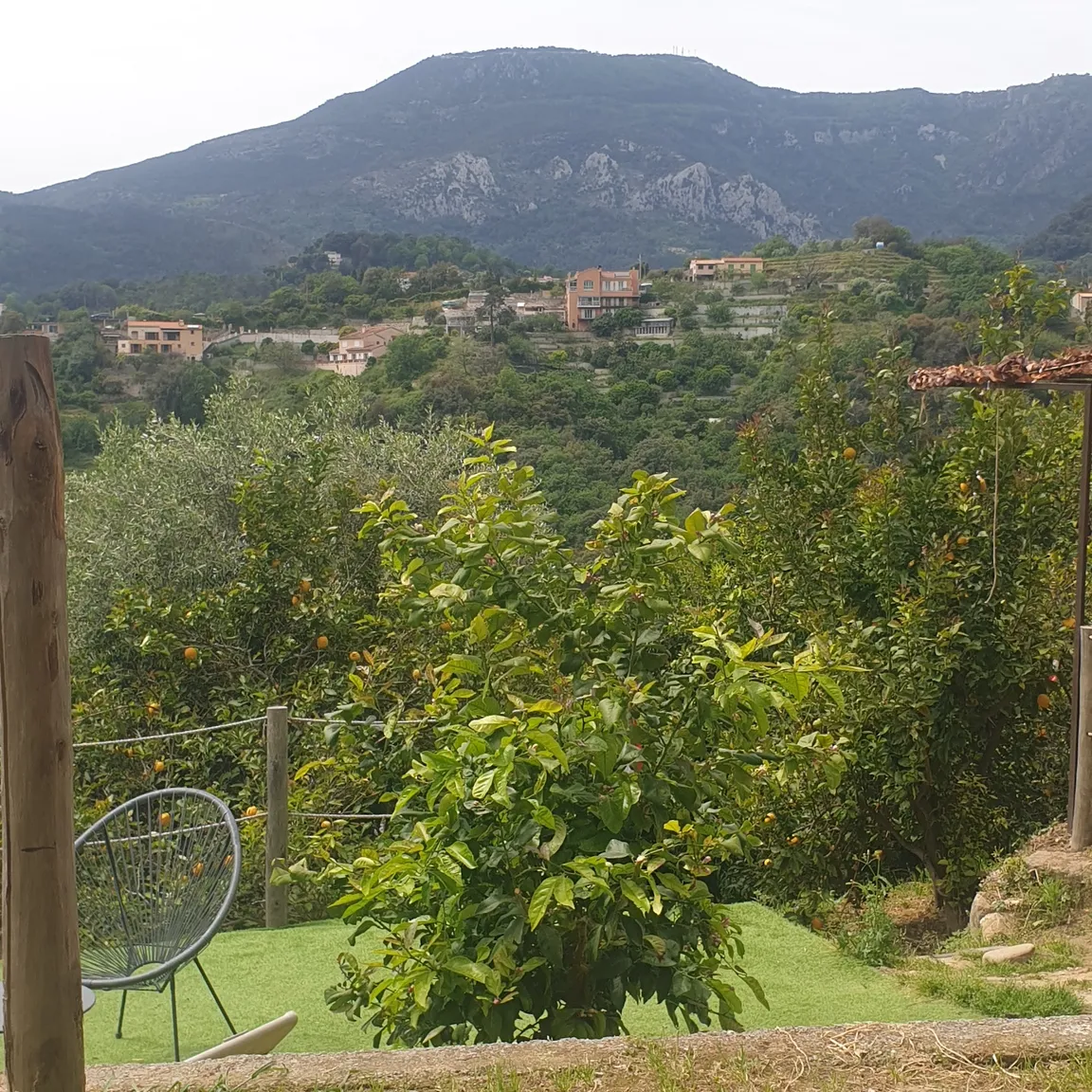La Ferme des Citrons