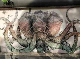 Wynwood Walls