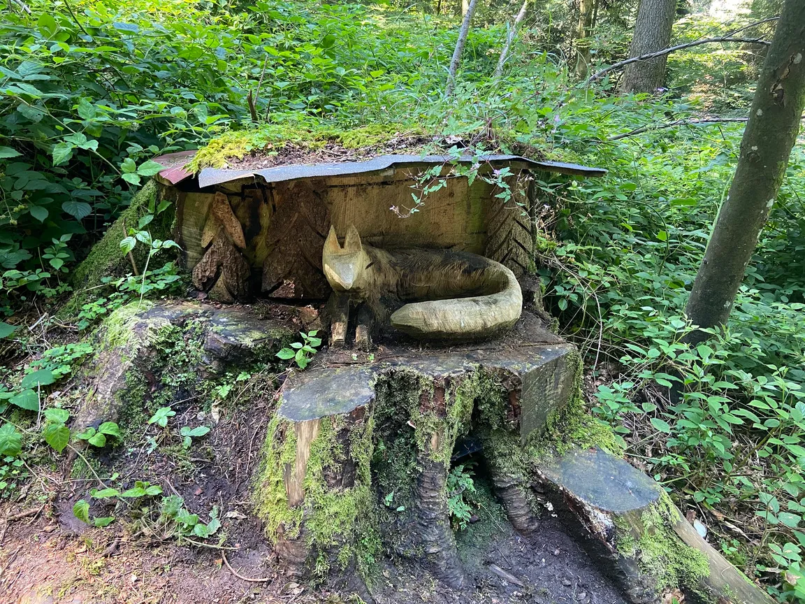 Zyberliland Romoos