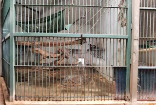 Ogród Zoologiczny w Belgradzie