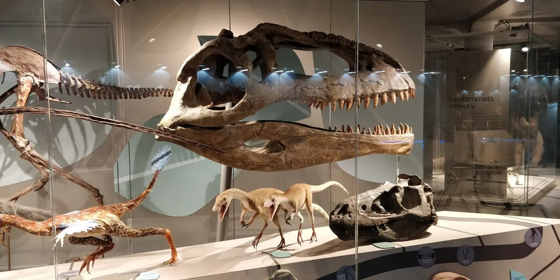 Naturhistorisk museum
