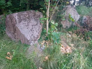 Zęby trzonowe hrabiego Glasenappa