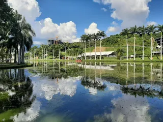 El Laguito